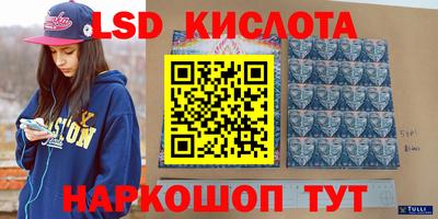 сатива Кудрово