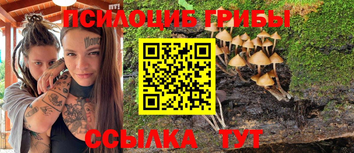 Мытищи  Псилоцибиновые грибы Psilocybe  Вход с VPN 