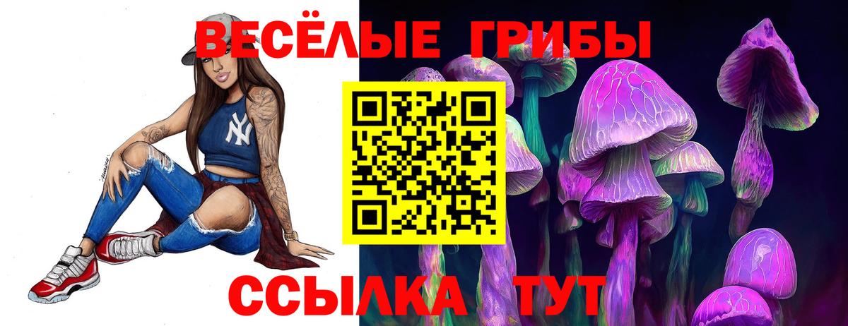 Псилоцибиновые грибы мицелий Мытищи